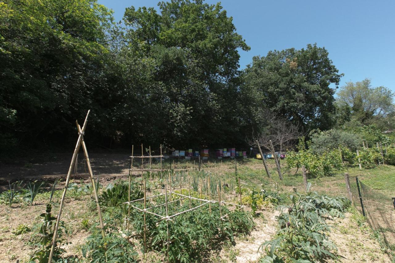 B&B Il Giardino Degli Incanti SantʼElpidio a Mare Eksteriør billede